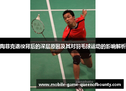 陶菲克退役背后的深层原因及其对羽毛球运动的影响解析