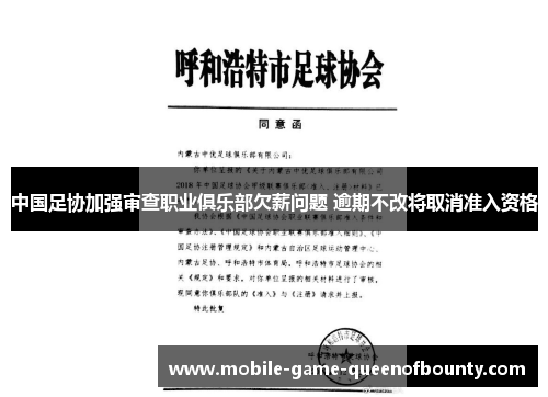 中国足协加强审查职业俱乐部欠薪问题 逾期不改将取消准入资格
