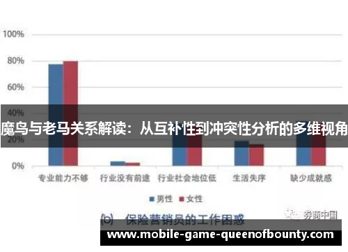 魔鸟与老马关系解读：从互补性到冲突性分析的多维视角