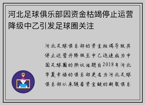 河北足球俱乐部因资金枯竭停止运营降级中乙引发足球圈关注